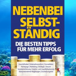 Bestseller „Nebenbei selbständig“ von Multi-Autor Manfred Lappe